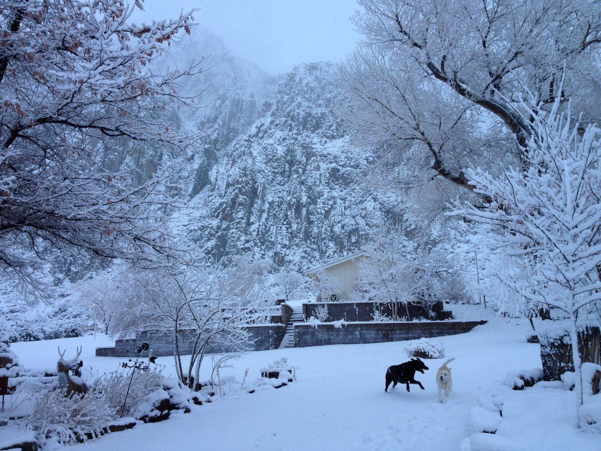 Meadowcliff Lodge Coleville 外观 照片