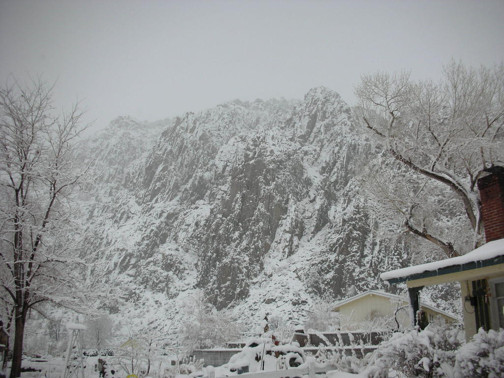 Meadowcliff Lodge Coleville 外观 照片